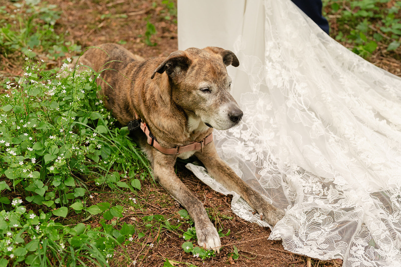 Sarah-Robbie_Caylie-Mash-Photography_0397_websize