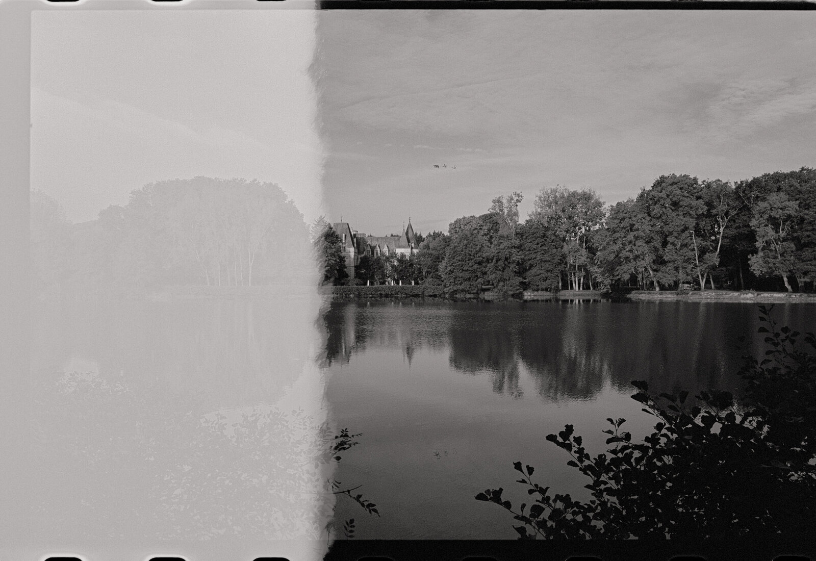 Film-Wedding-Photographer-Zara-Staples-Weddings1