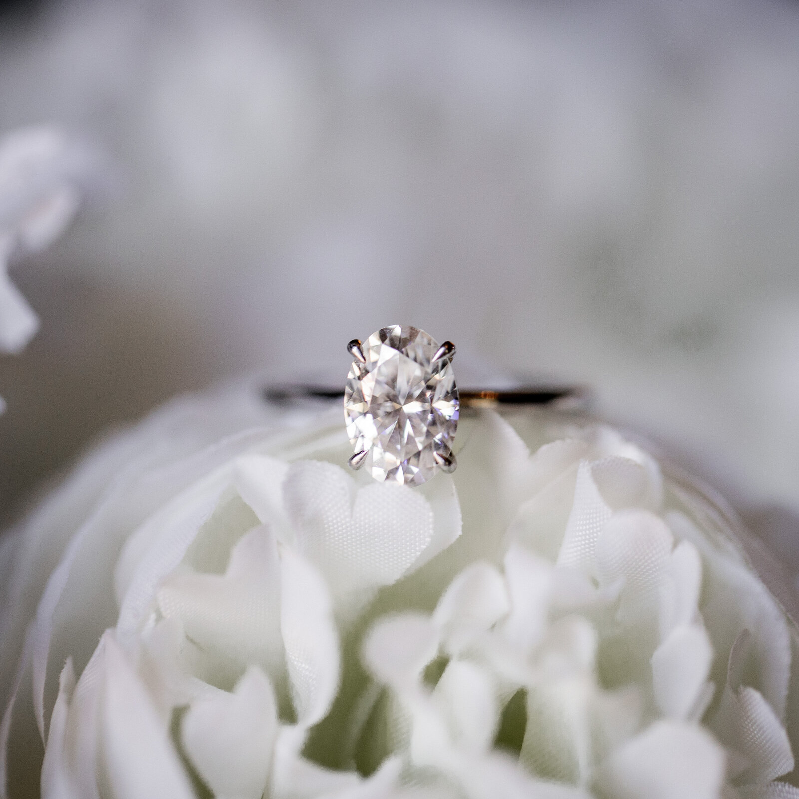 250612-Lucy-Brandon-Rexvil-Photography-Adelaide-Wedding-Photographer-95