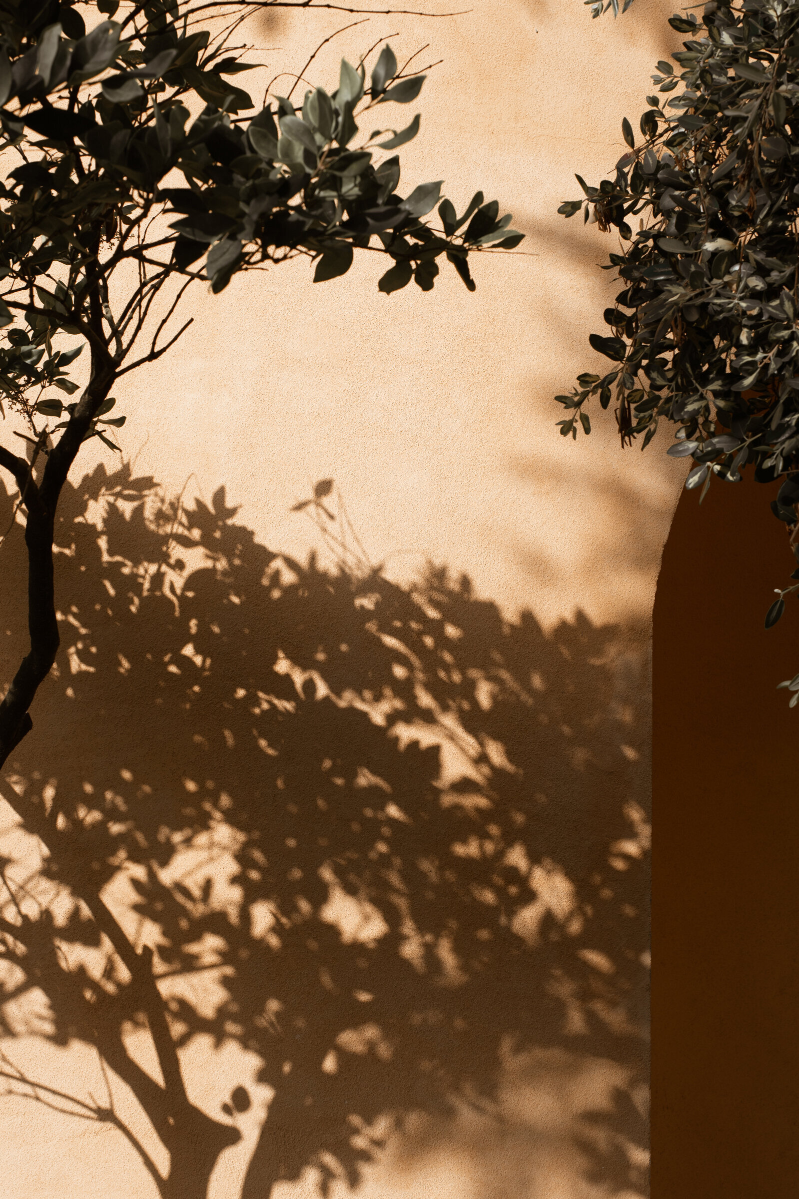 haute-stock-photography-subscription-sun-drenched-collection-final-4