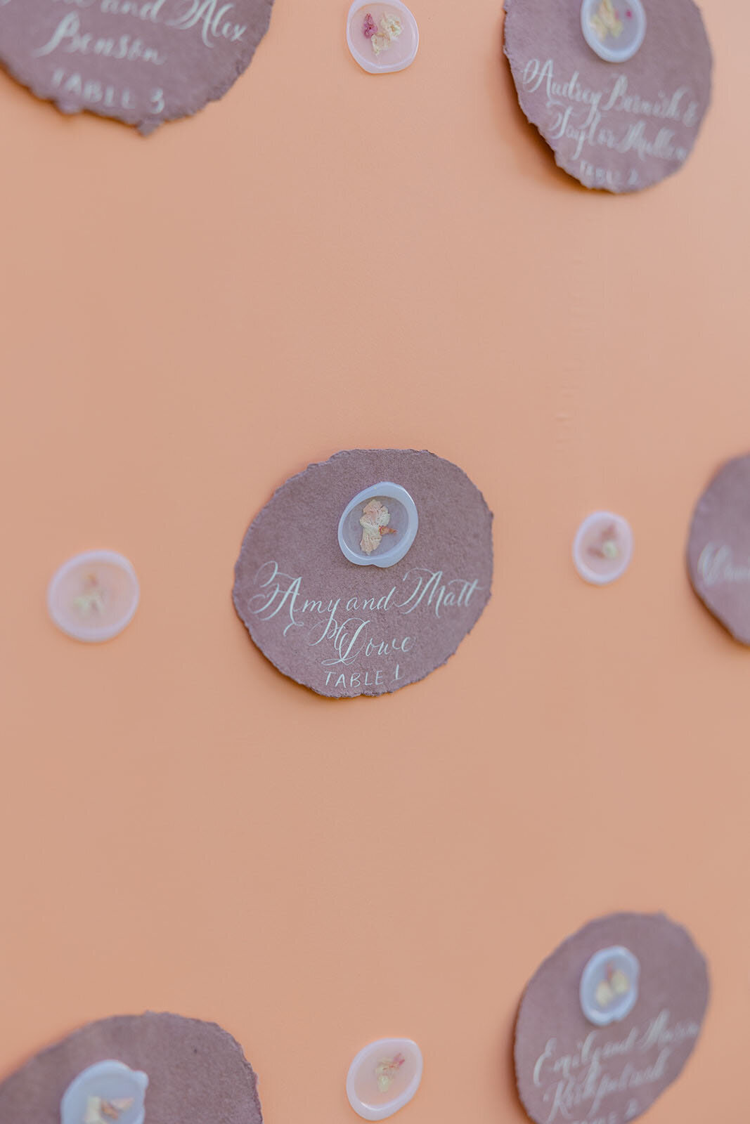 Taryn Baxter Photographer_Sydney+Whit_Wedding-1128