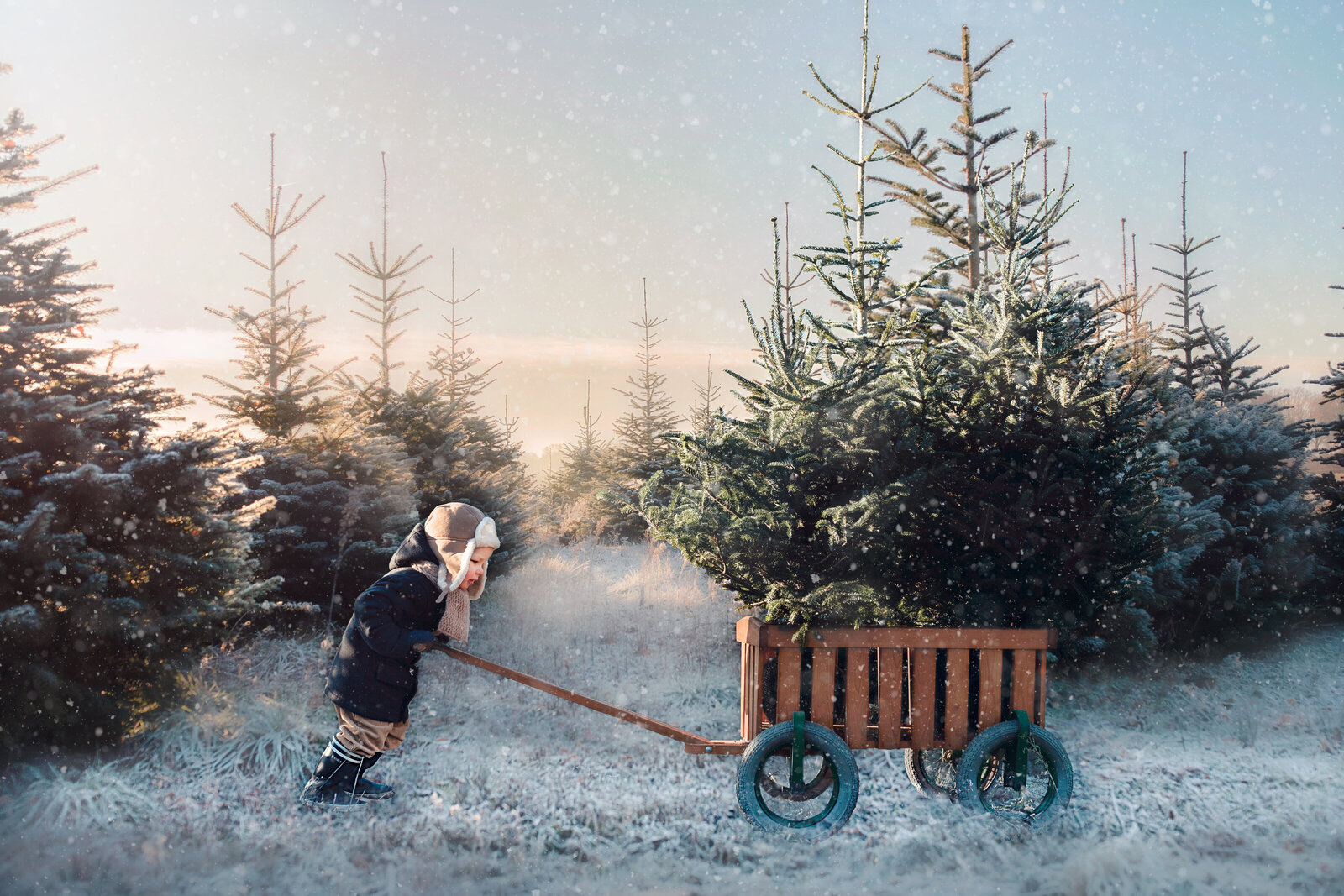 sneeuw peuter met kerstbomen