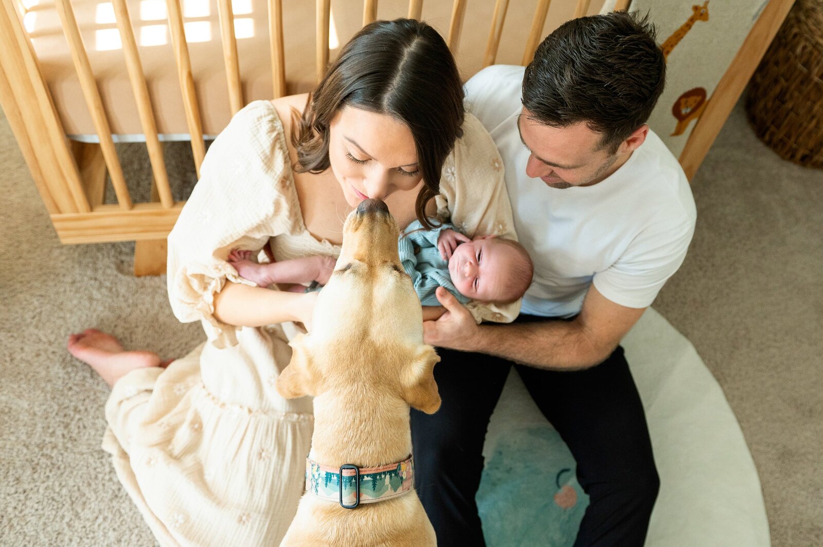 dog giving mom a kiss while they holding their newborn