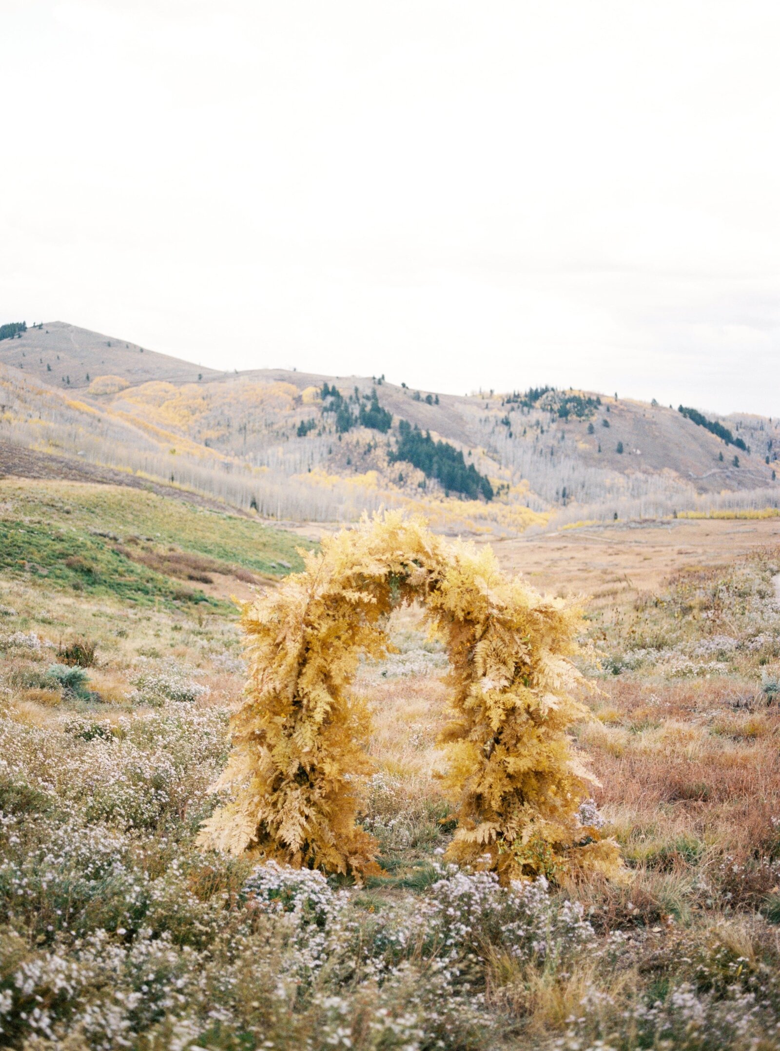 natural wedding arch
