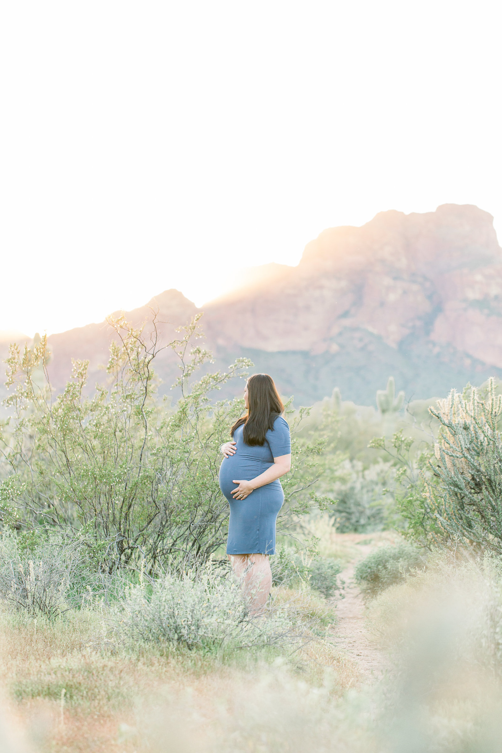 Aly-Kirk-Photo-Mesa-Arizona-Photographer-Desert-Mountain-Maternity-0020