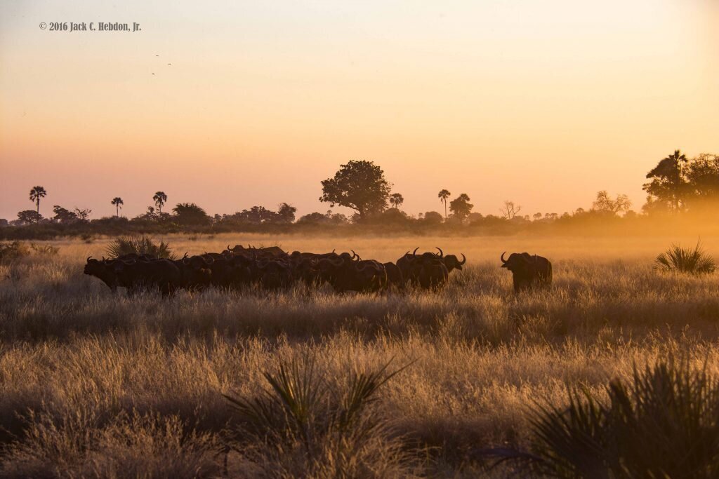 Africa-2016-11-1024x683