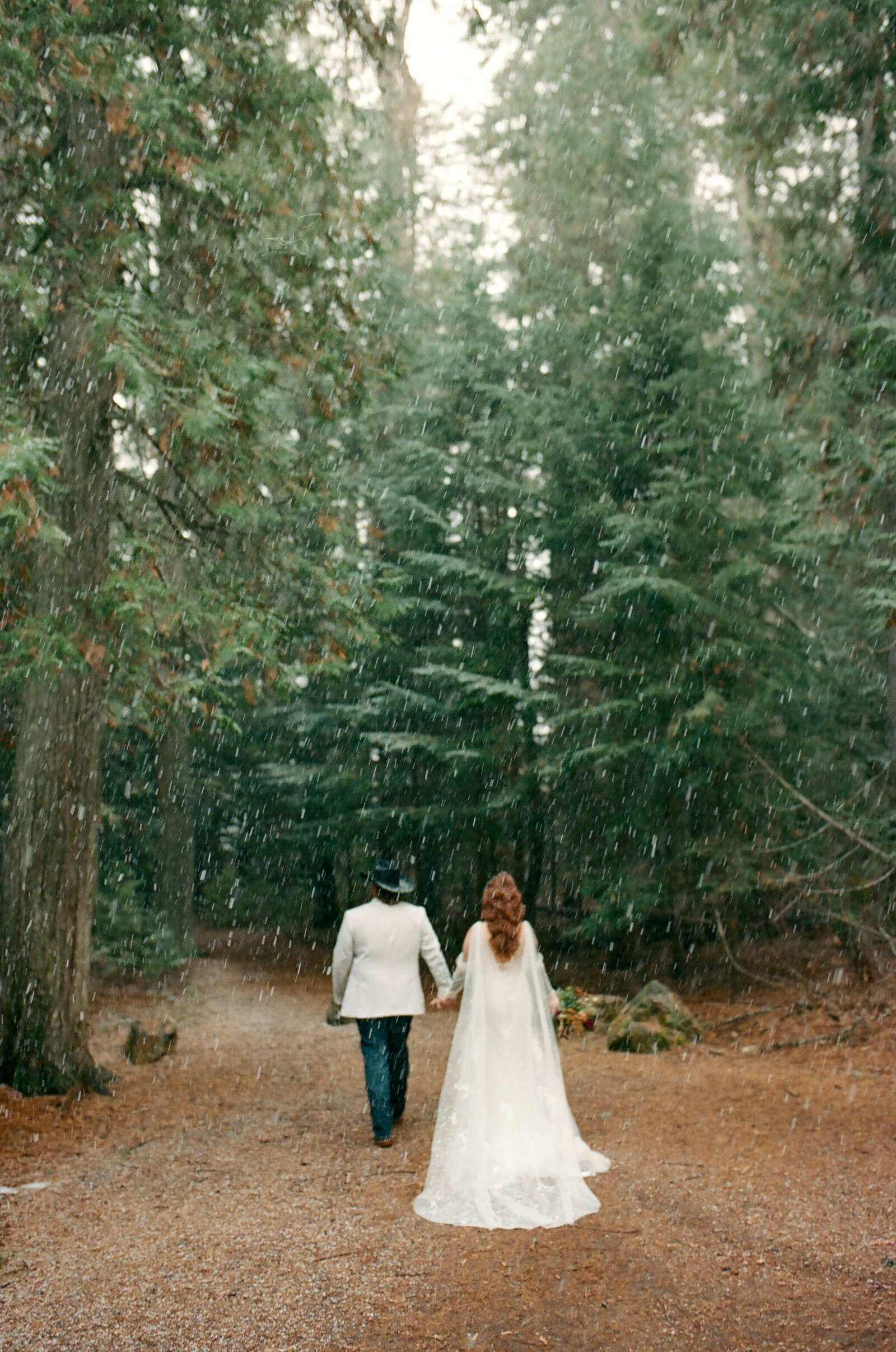 montana elopement photographer glacier national park-000085020016