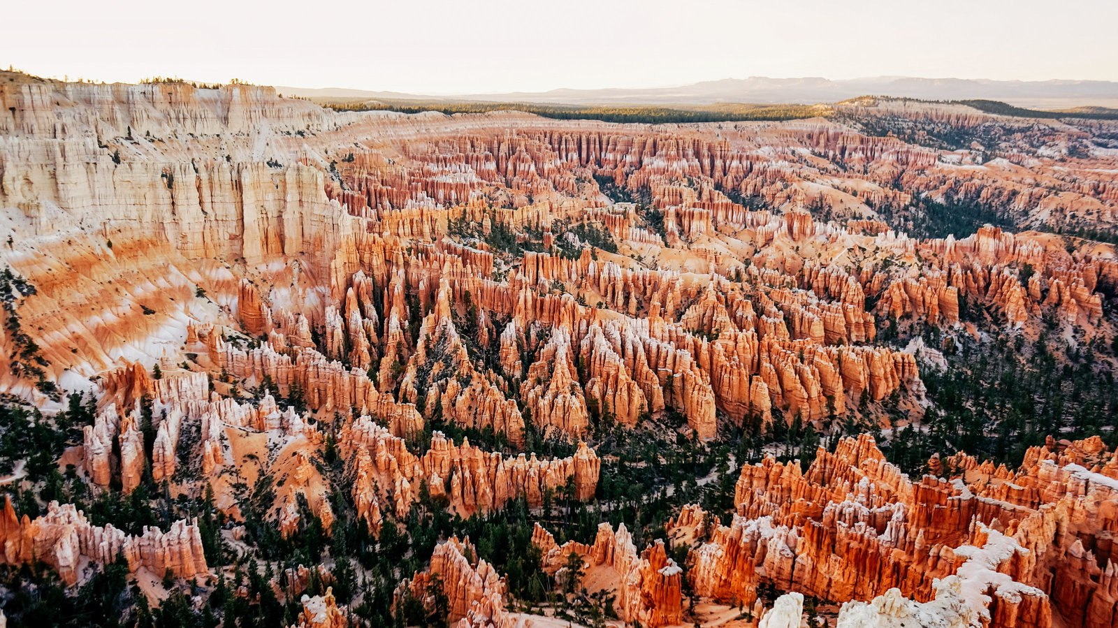 Sasha_Reiko_Photography_Travel_Utah_Arches_Canyon_Lands_Zion_Grand_Canyon-75