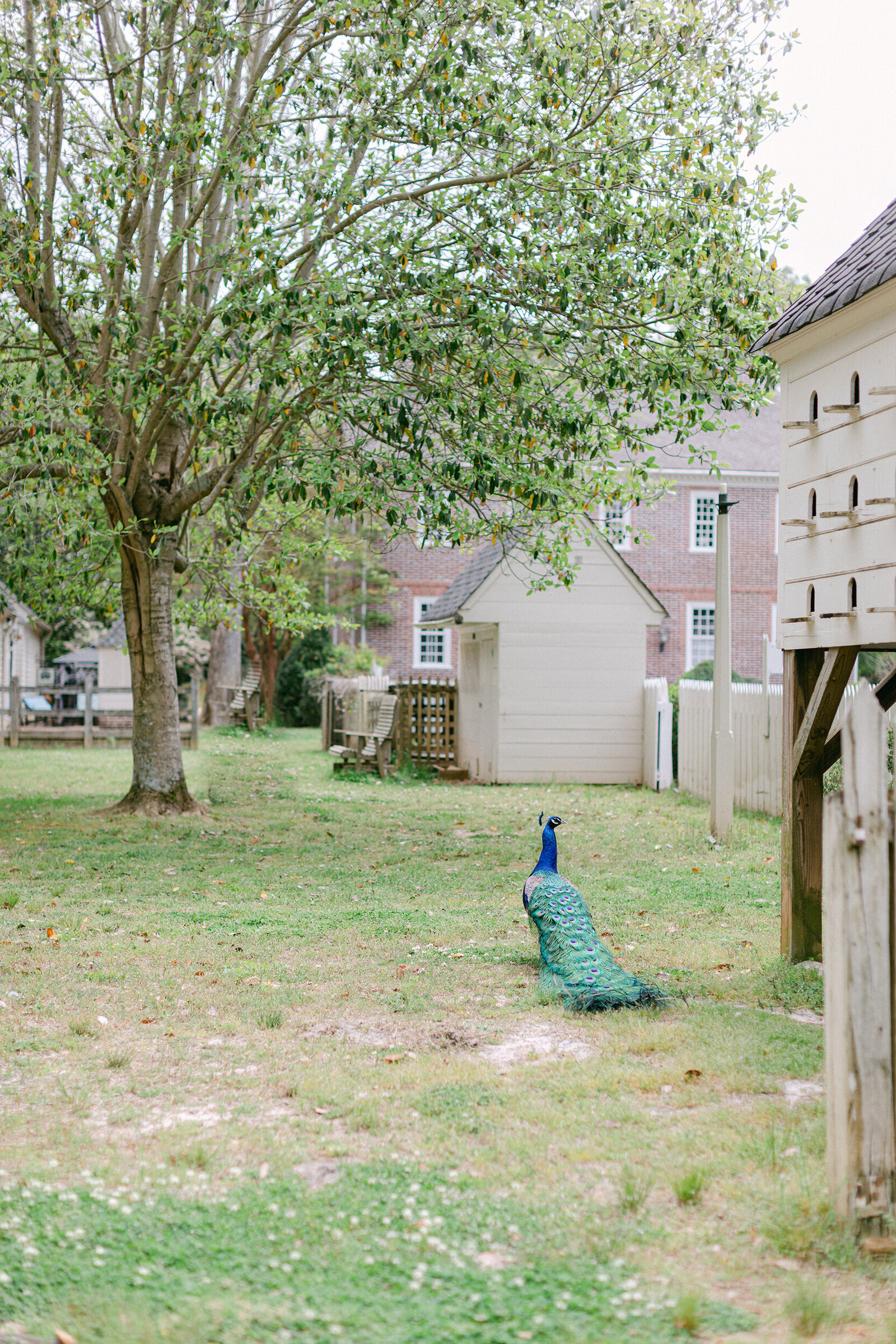 1-torianna-brooke-portraiture-inola-blue-ridge-wedding-carly-and-kade