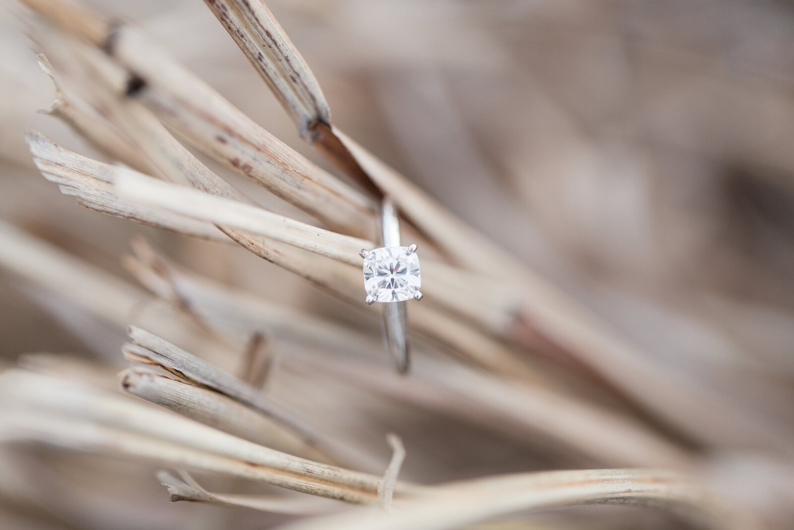HunterAndRebeccaEngaged-28