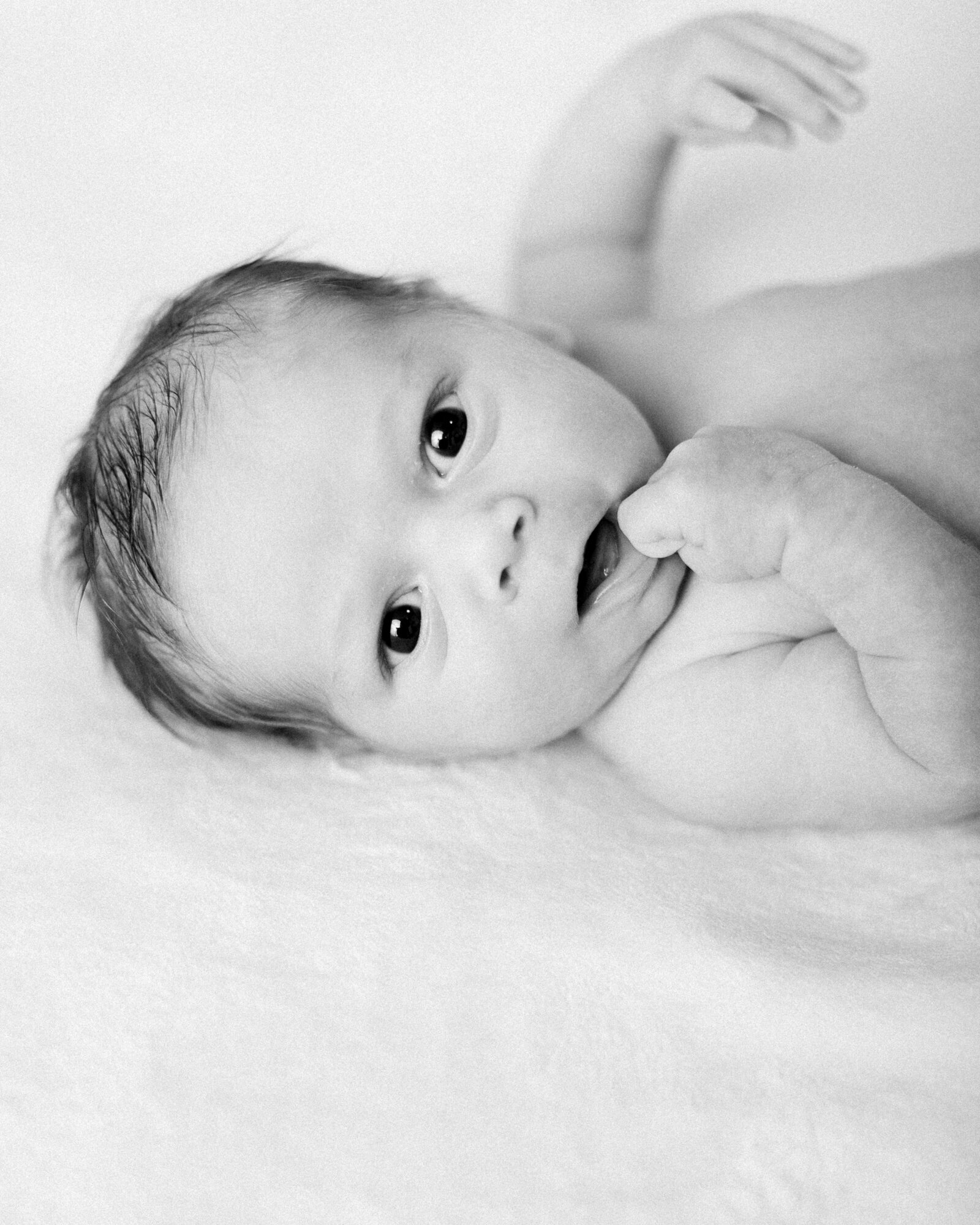 Closeup black and white photo of a baby staring curiously by NH newborn photographer Fieldstone Studio.