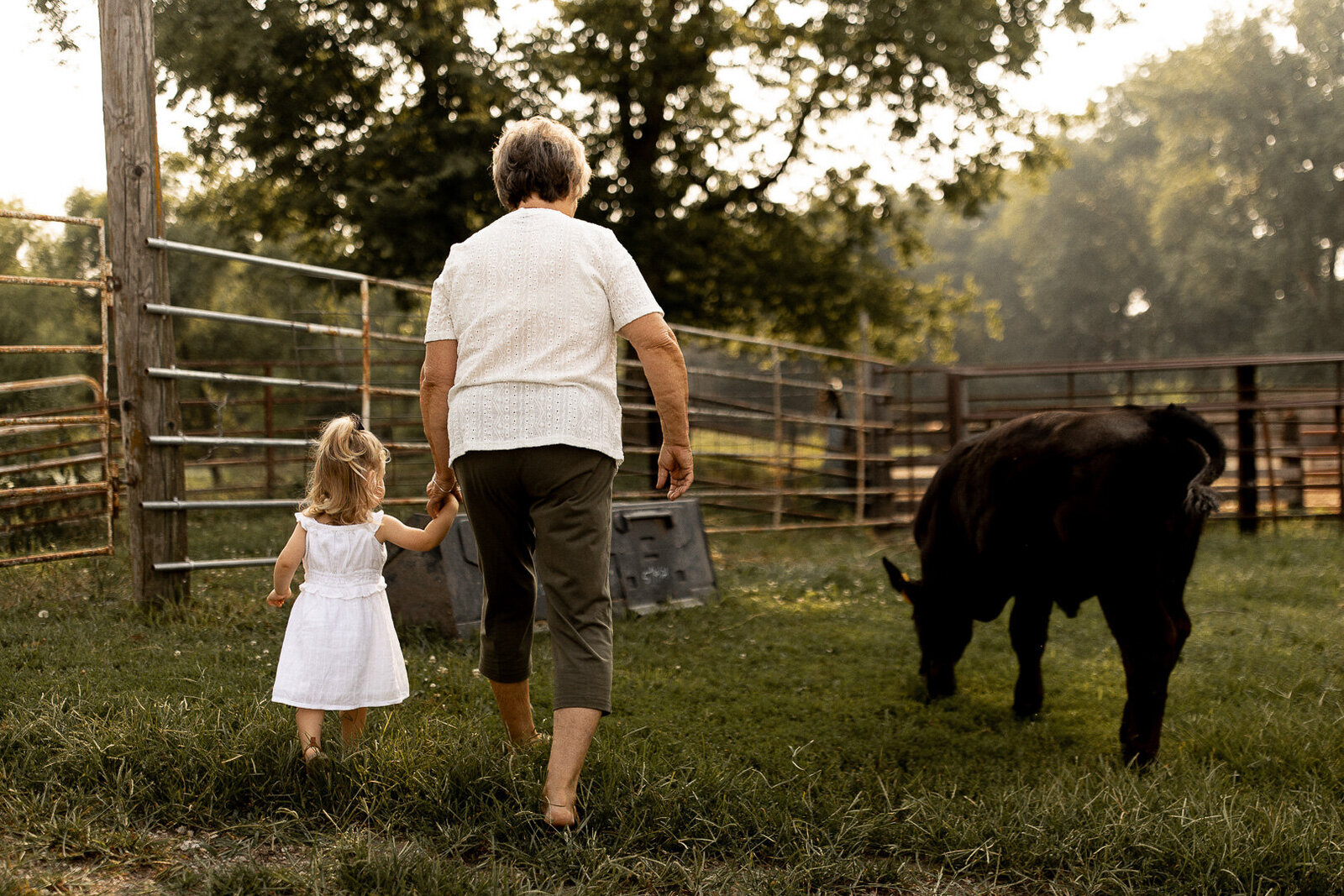Iowa grandma holds grandaughters hand while they feed the cattle together