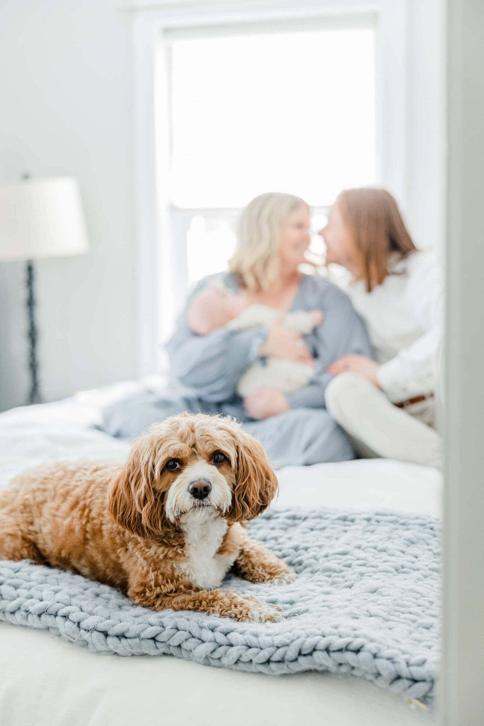 Dog lies on a blanket with parents and a baby in the background