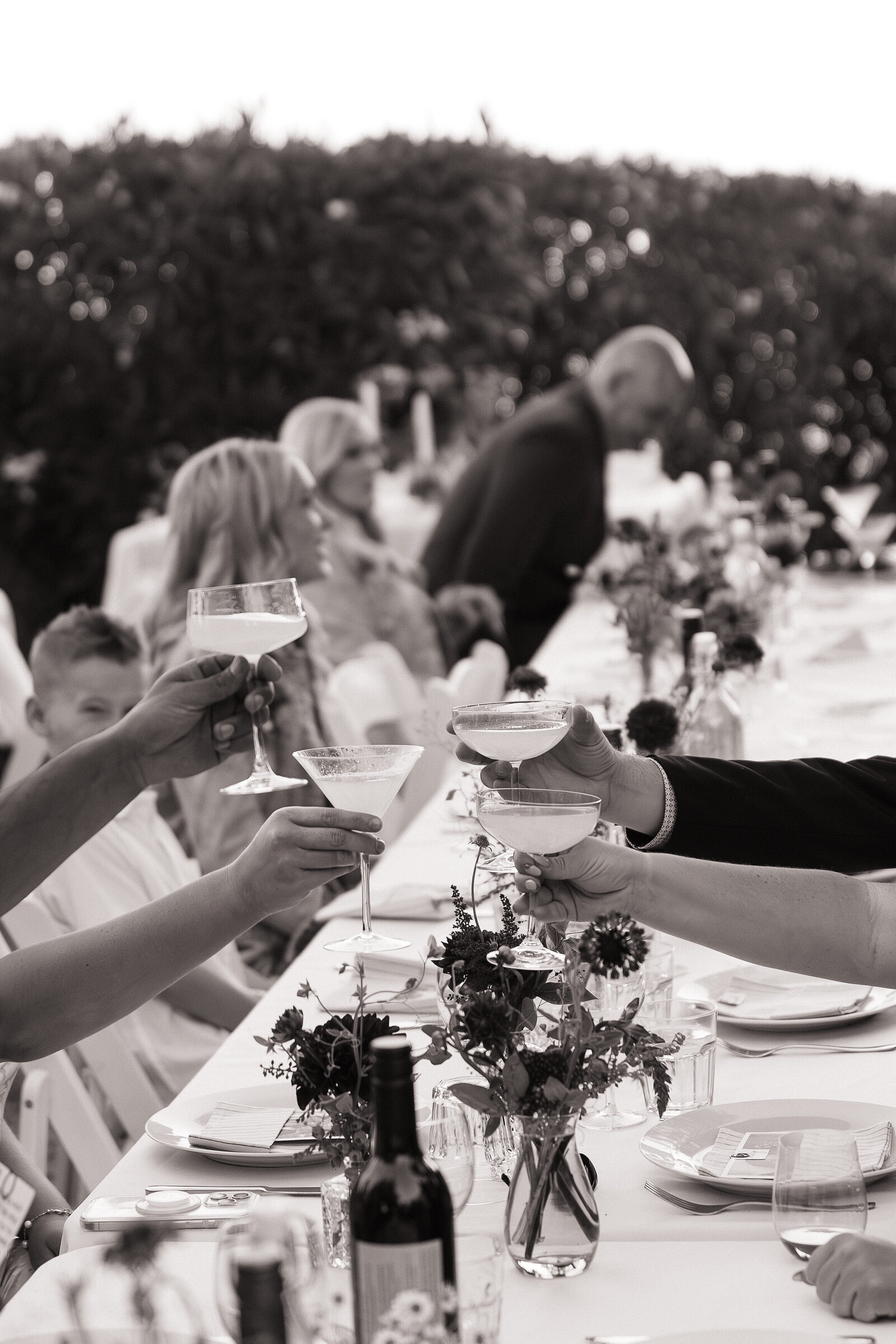 Wedding guests cheers at table by Northern California wedding photographers, Erica Rochelle