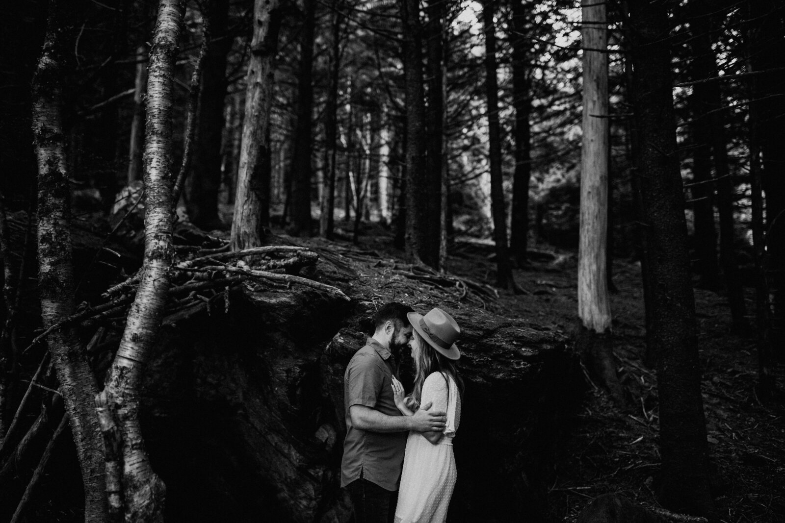 roan-mountain-east-tennessee-engagement-elopement-wedding-photographer-28