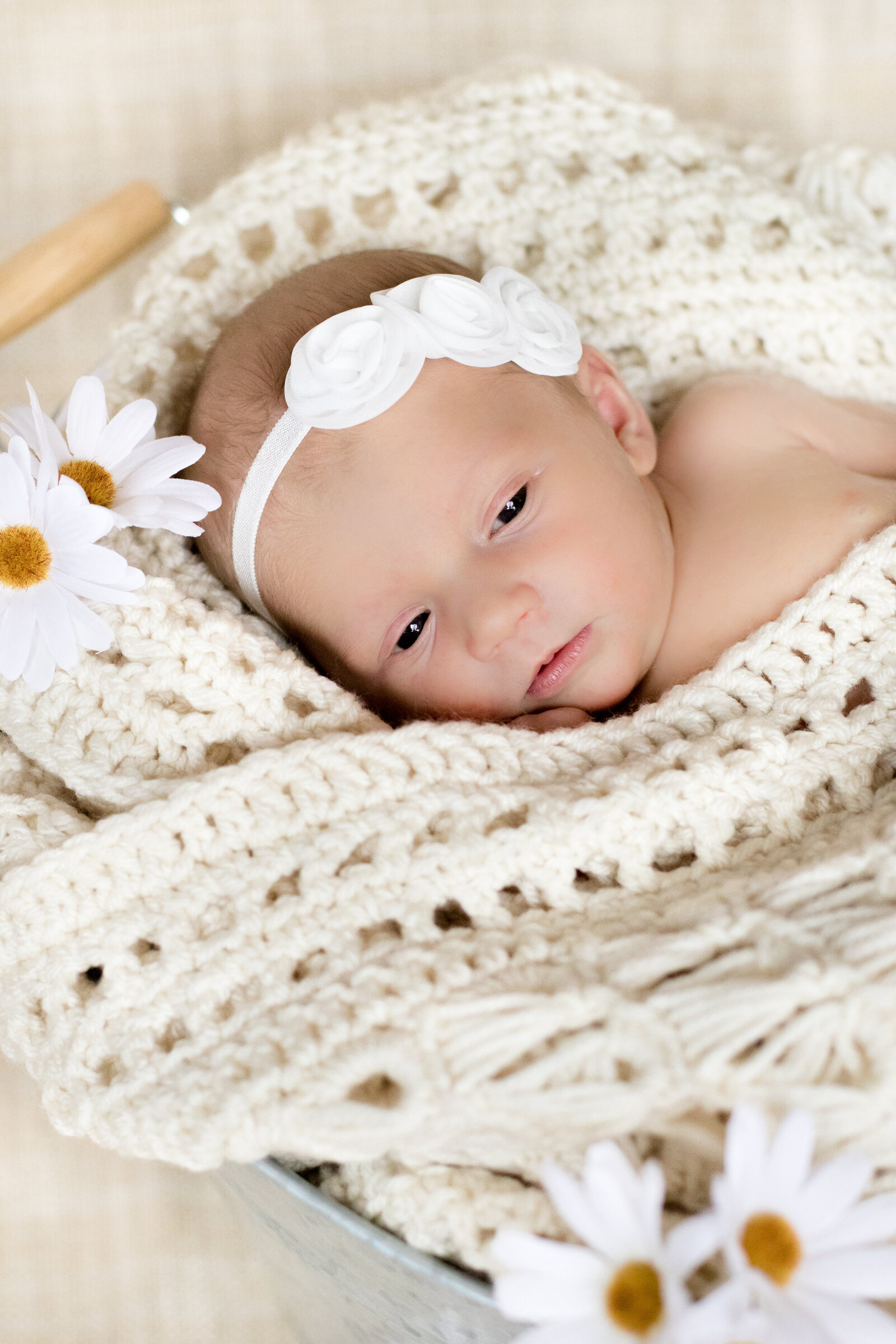 NewbornBrynnE2019-63