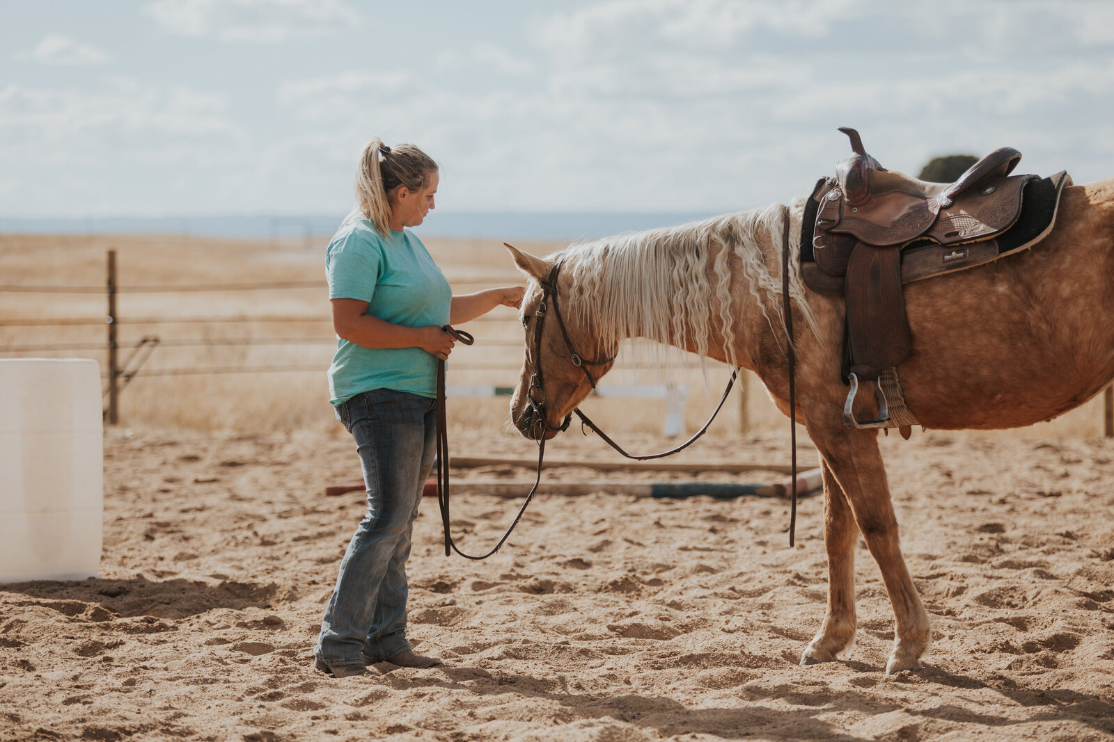 girl admires her horse during a training lesson