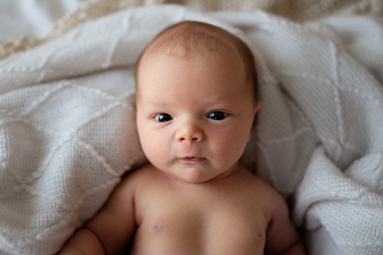 Newborn baby boy  looks at the camera with eyes wide open