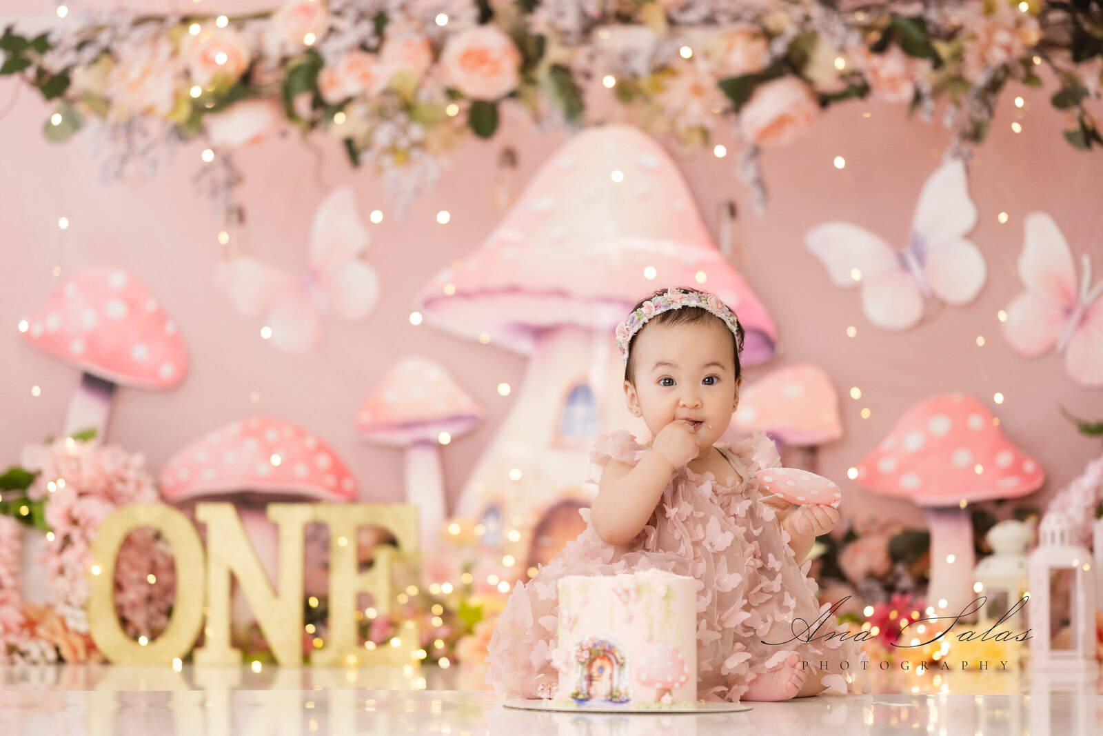 Cake Smash Photographer Edmonton-19