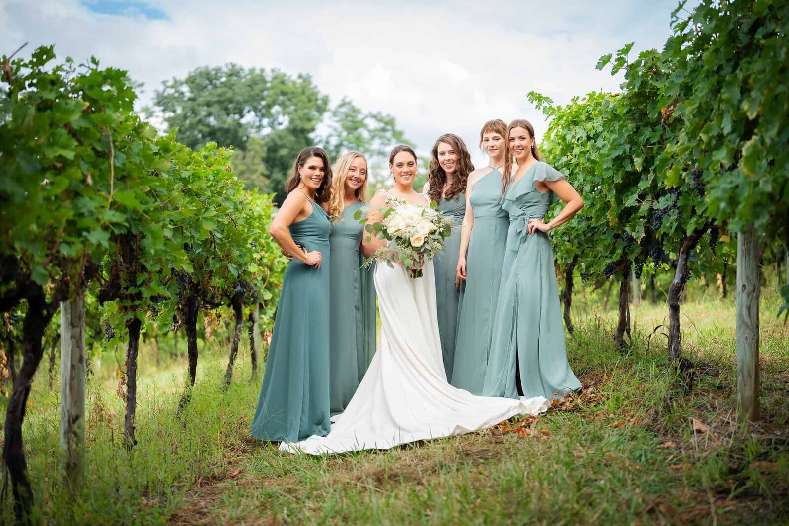 bridal party formal portrait at North GA wedding at terra incognita vineyard wedding venue