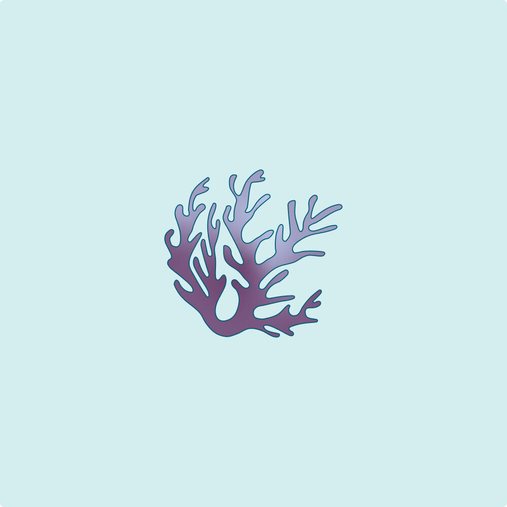 Illustration of purple sea moss.