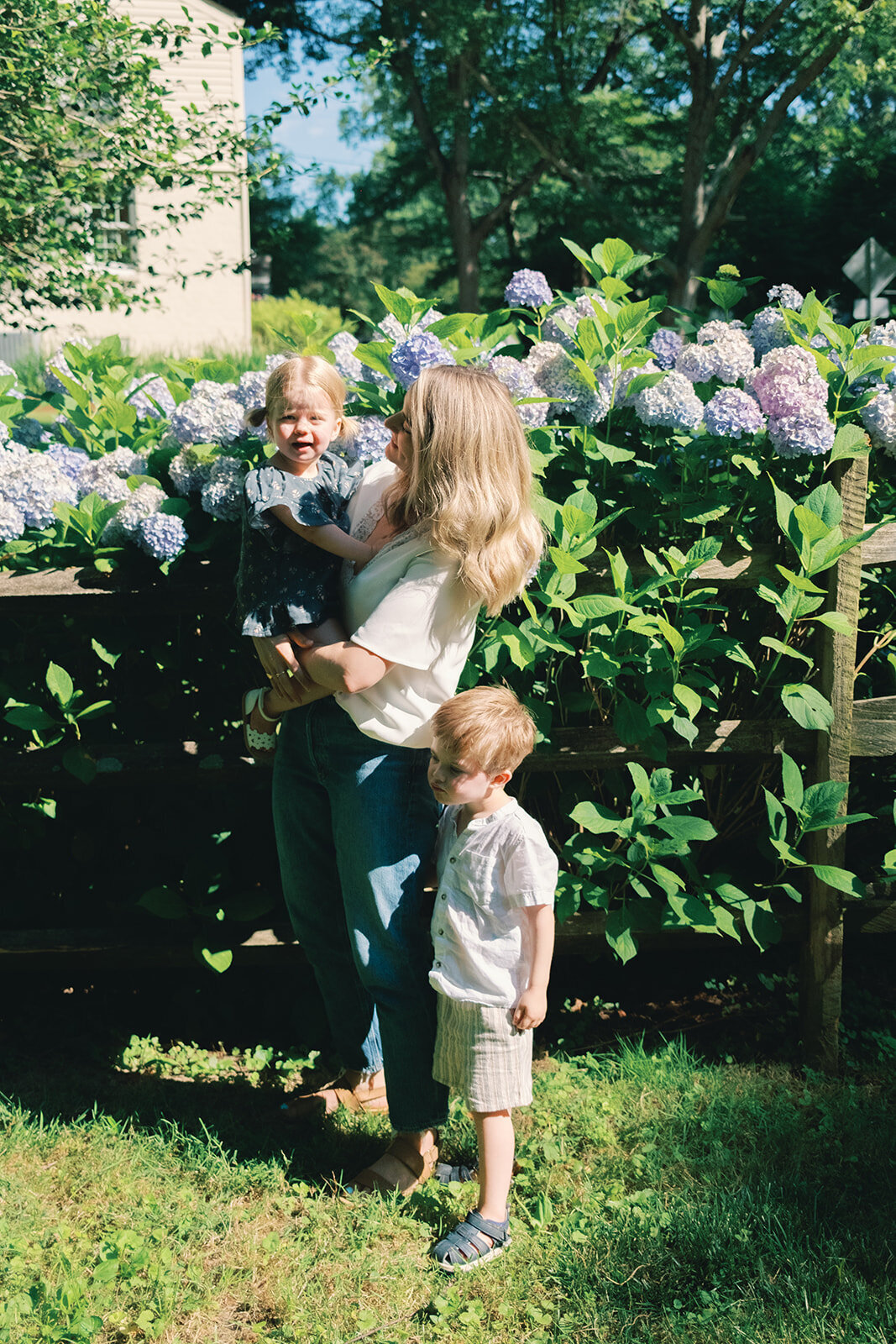 Story Family 260