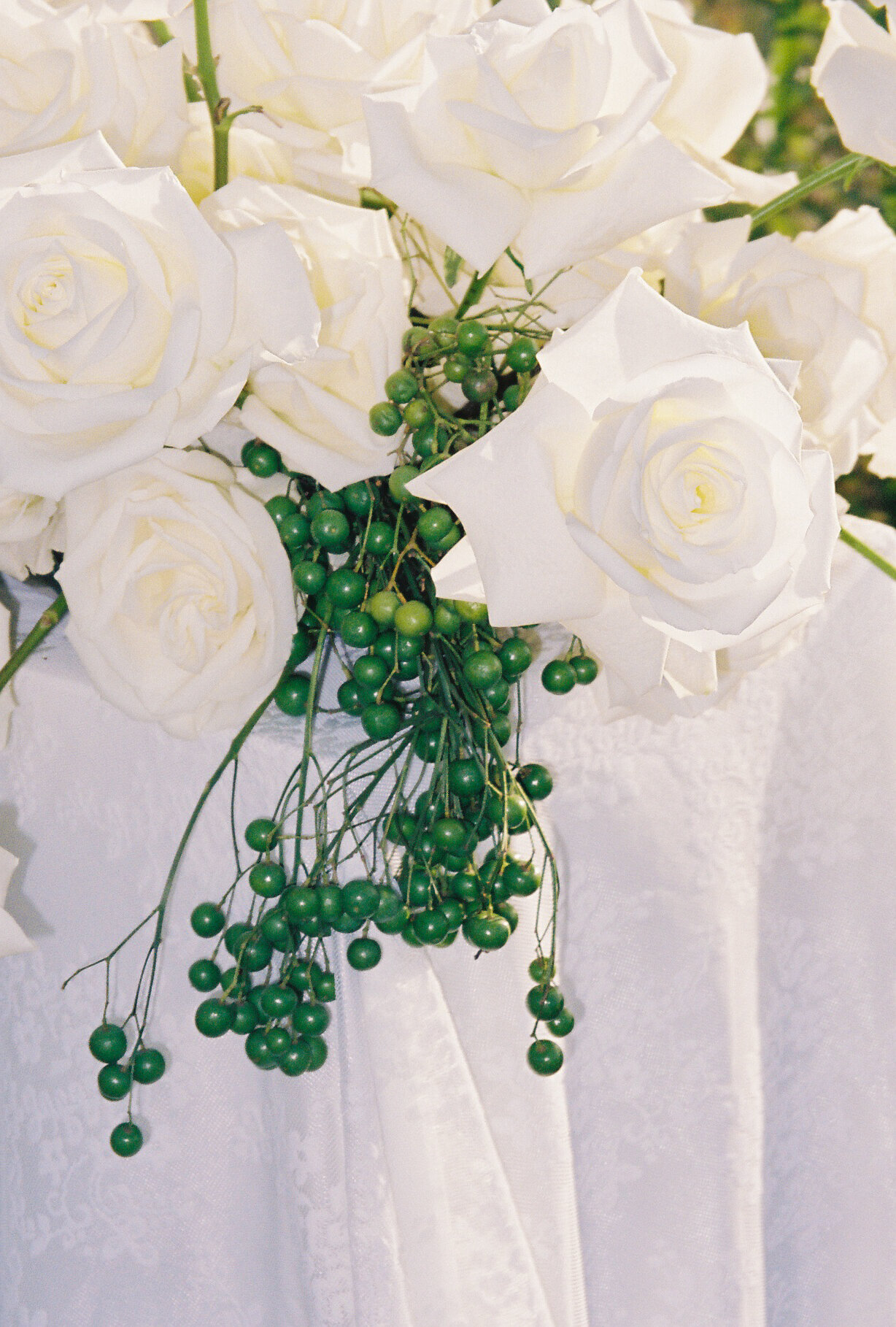 KIERRAFISKEPHOTO-PEARL&POPPY-15-2