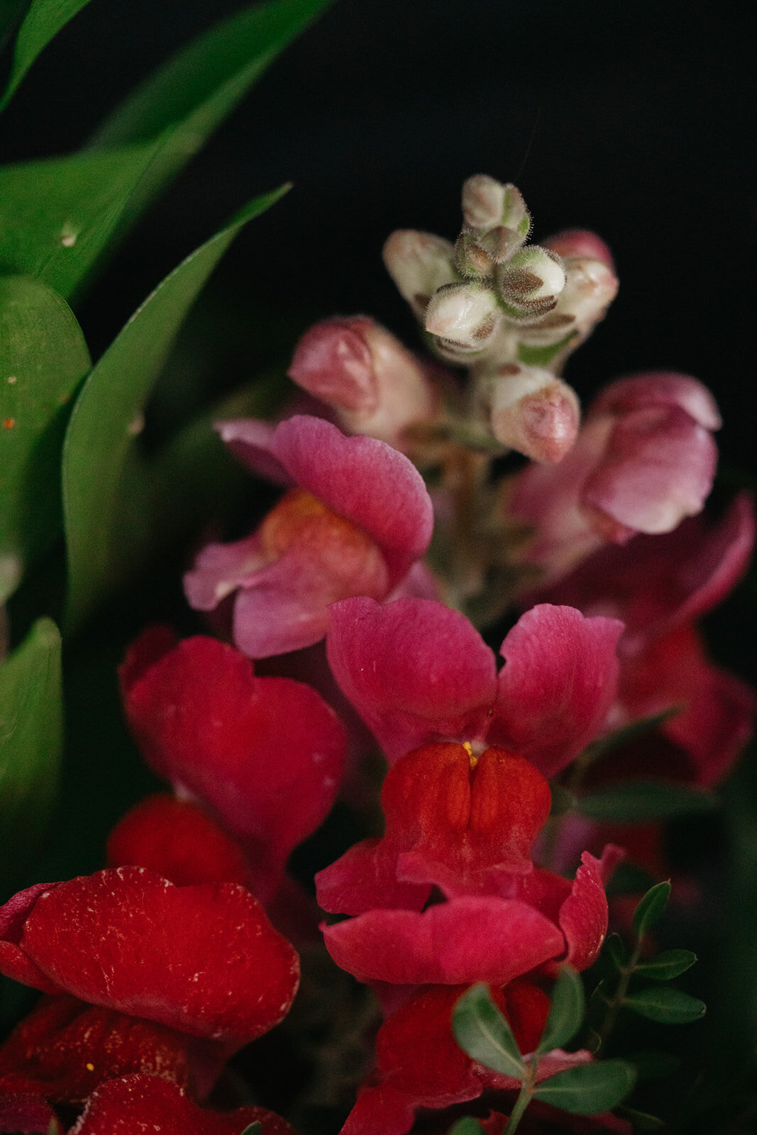 Majolica_photo_Dutch Master Elegance- A luxurious wedding Editorial_211