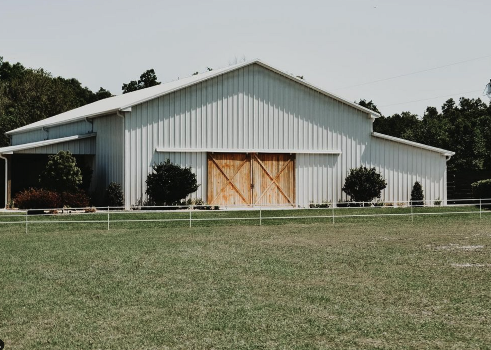 Cow Creek Farm Tampa Florida Wedding Venue and Farm Animal Tours - 26
