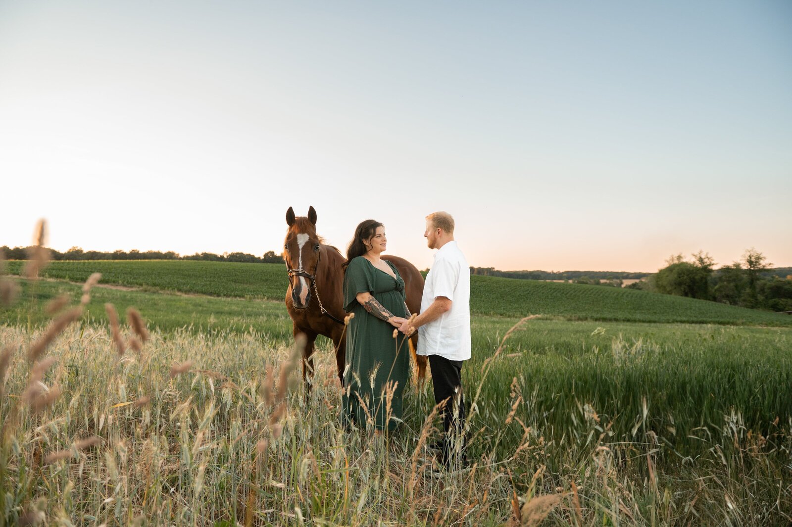 horse field at sunset for a maternity photoshoot