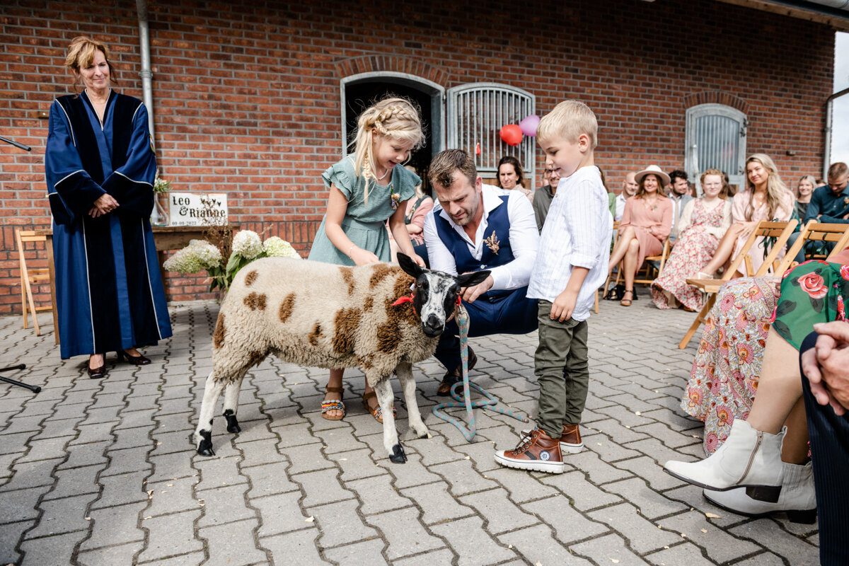 Country bruiloft, boerderij bruiloft, trouwen in Friesland, bruidsfotograaf, trouwfotograaf (94)