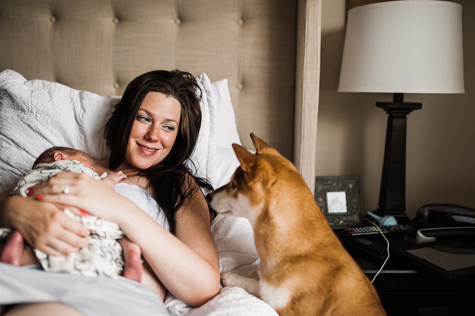 Newborn Photography with Pets San Diego