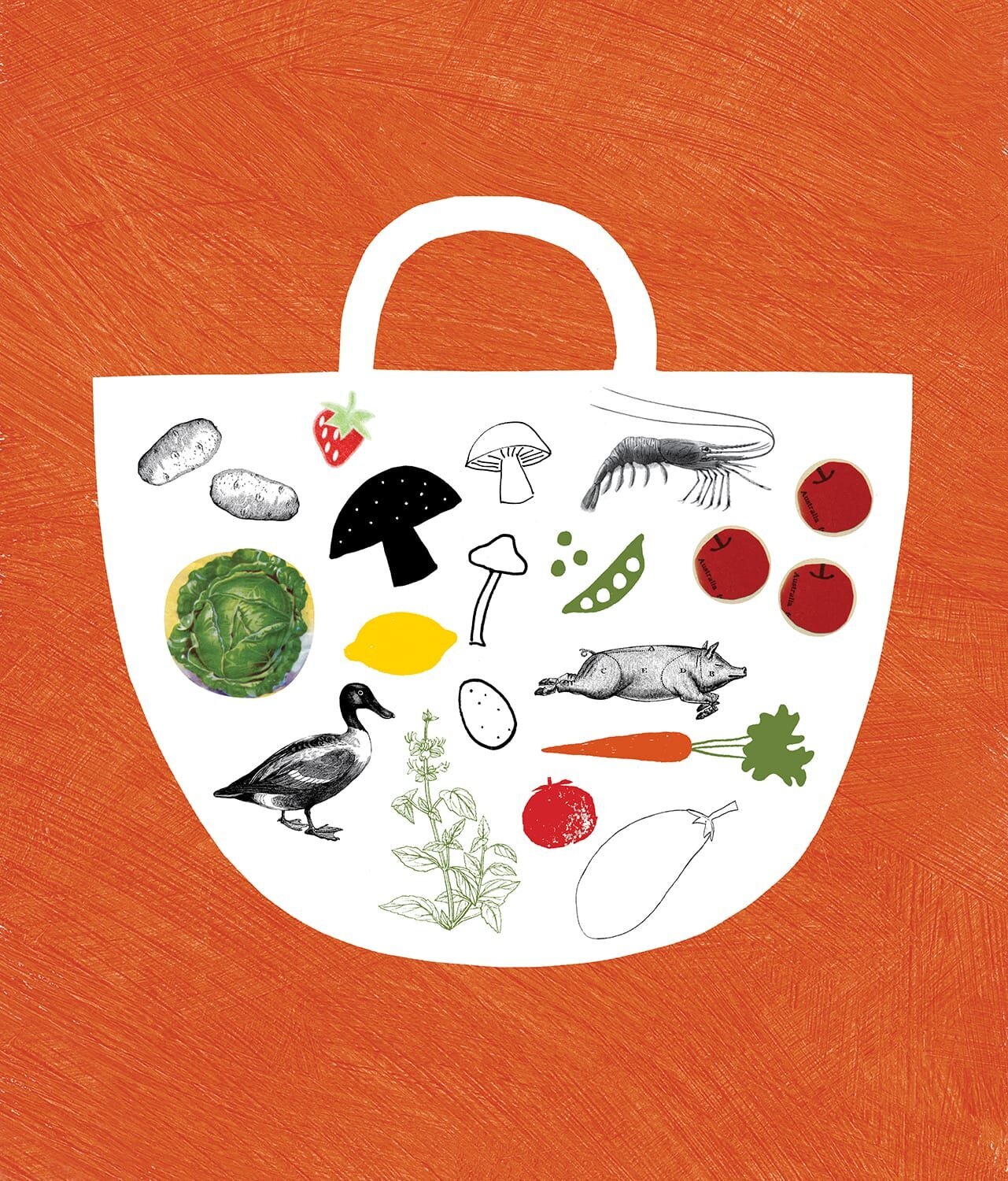 basket_orange_illo