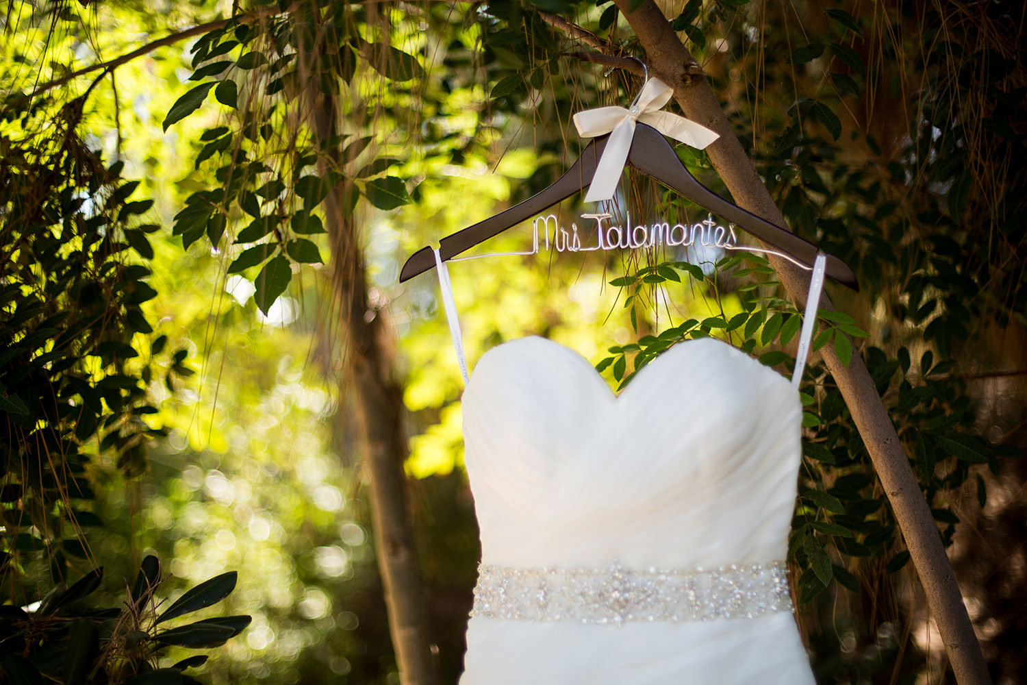 dress hanging in tree