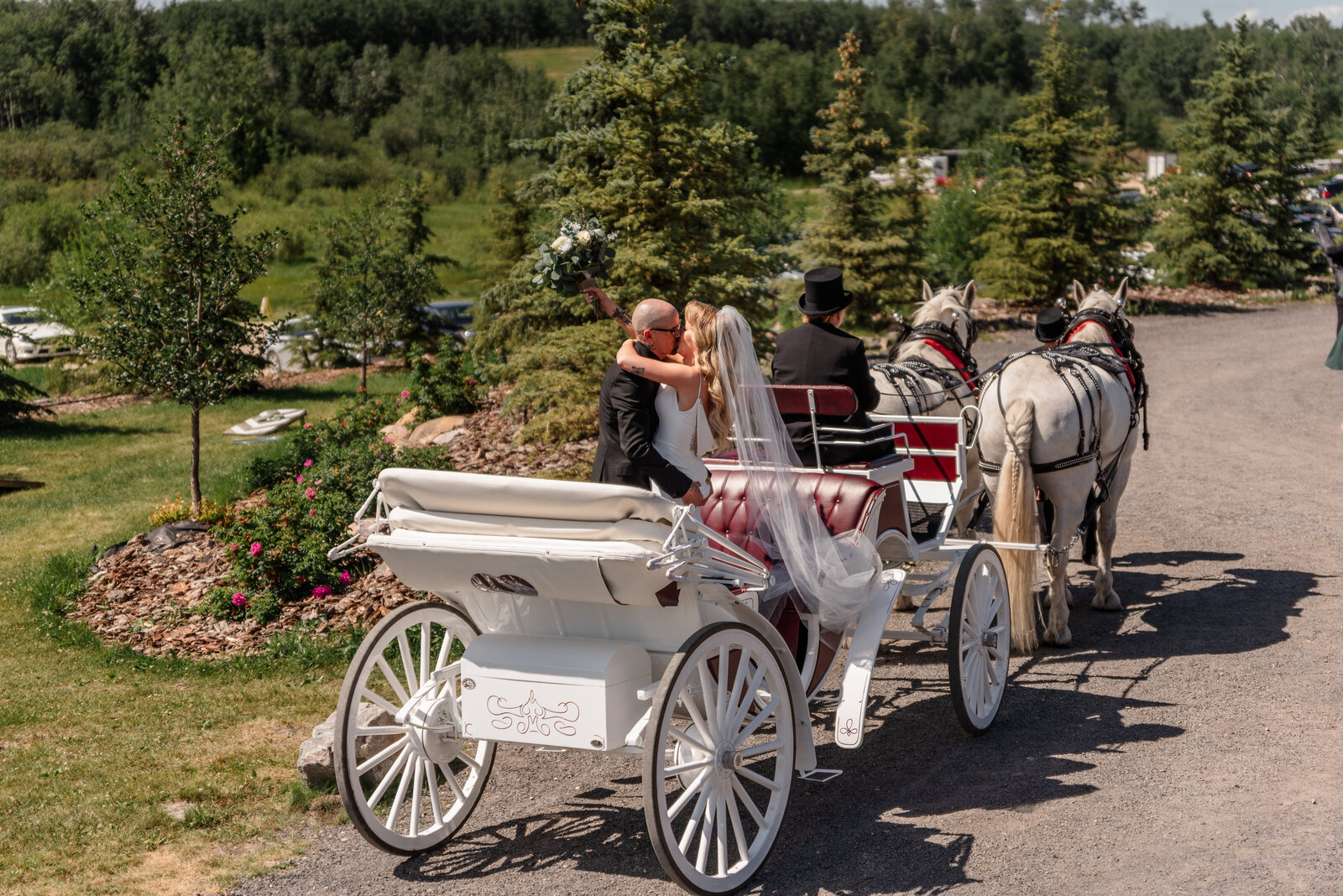 horse and carriage wedding