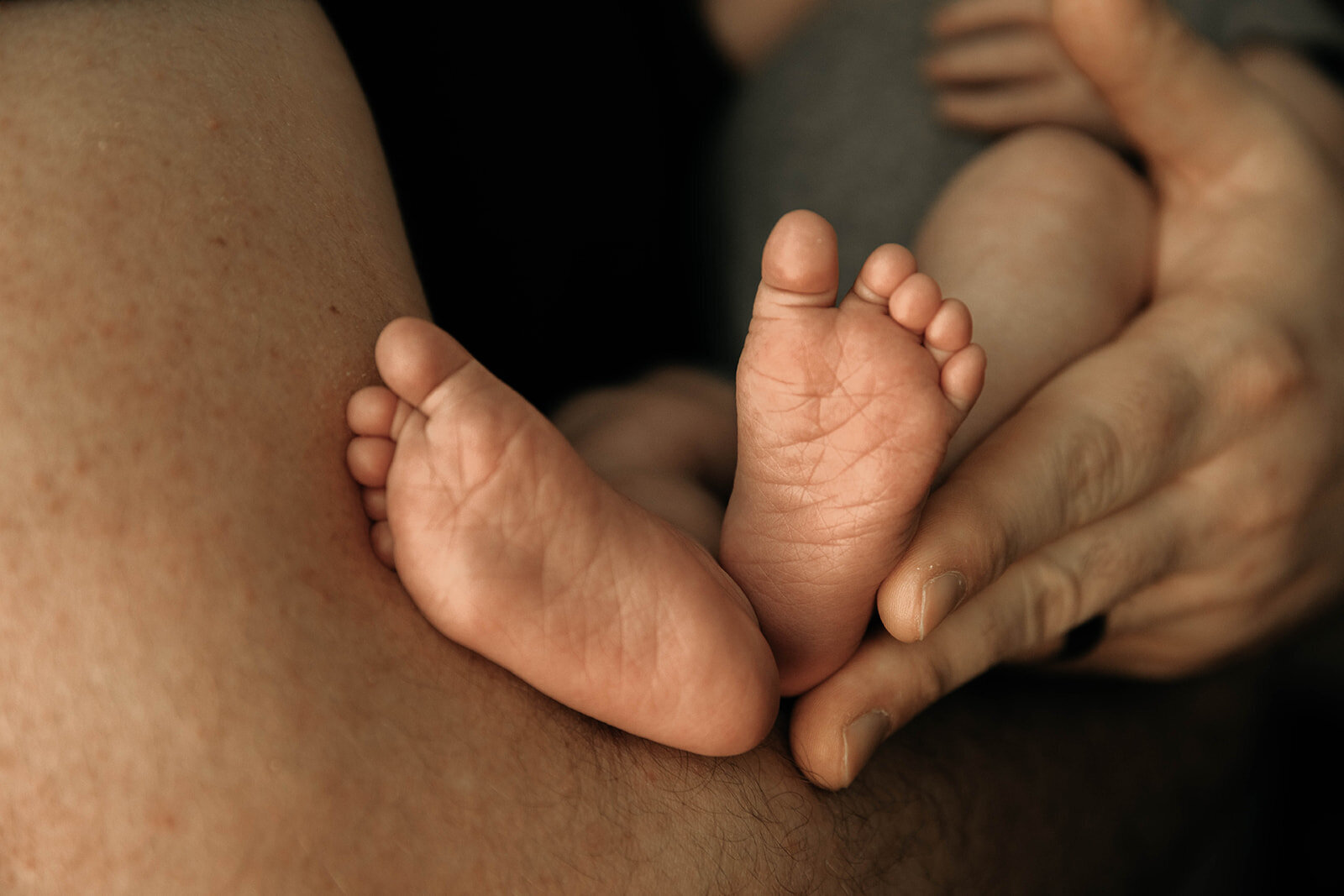 NC Family Newborn Portaits-9226