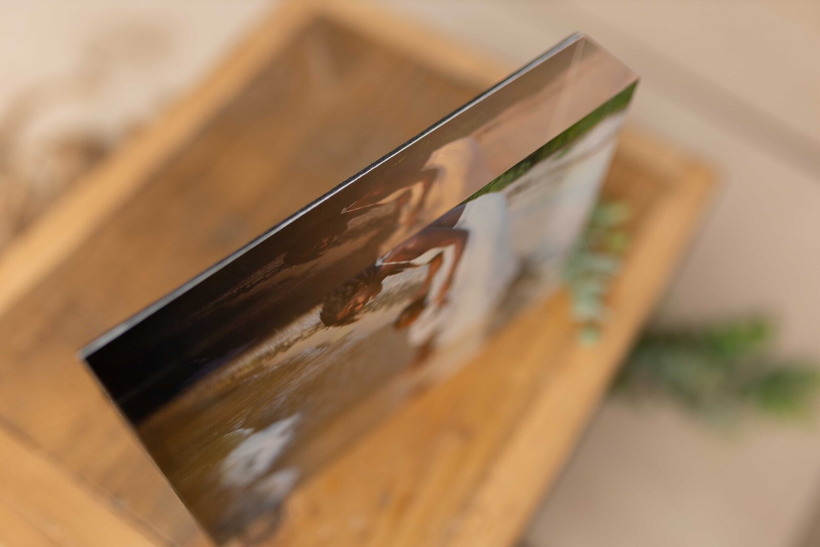 acrylic-block_Sayre-Briele-Photography-LLC_2