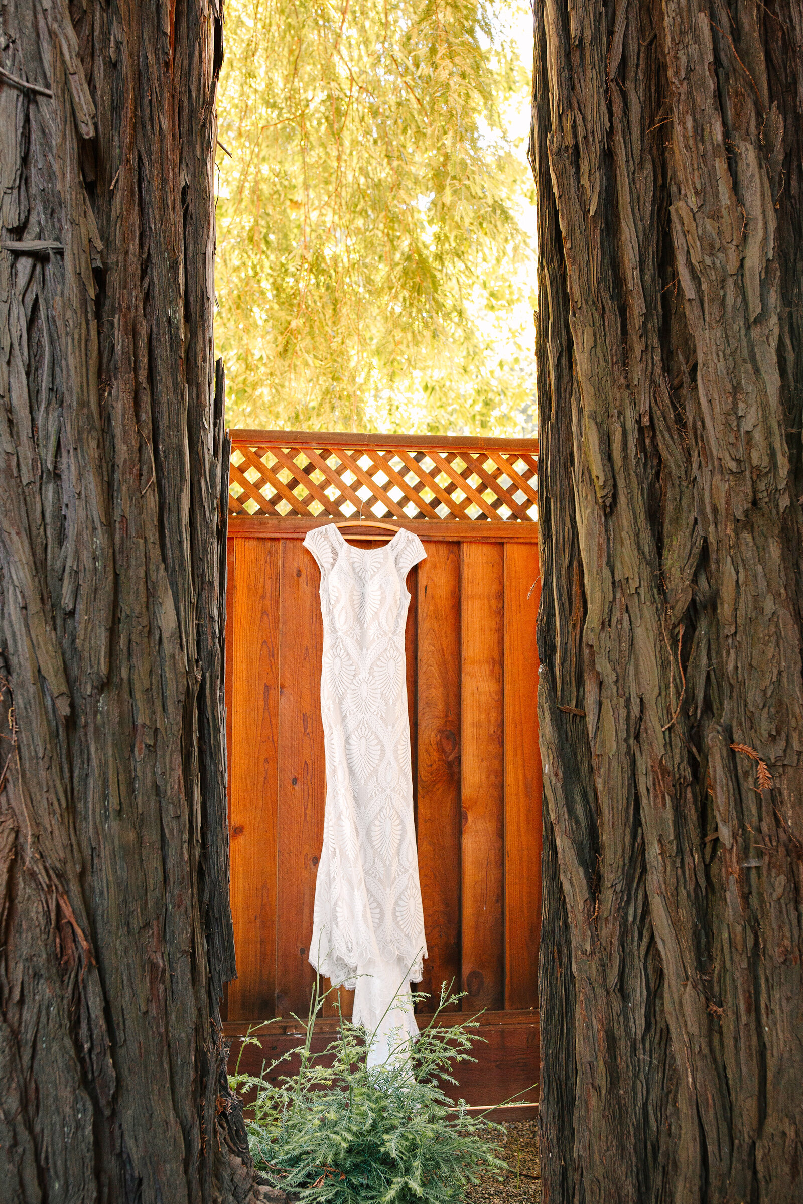 BHLDN wedding dress in Santa Cruz, California in the redwood trees.