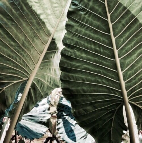 Image about green in travel by lisa on We Heart It