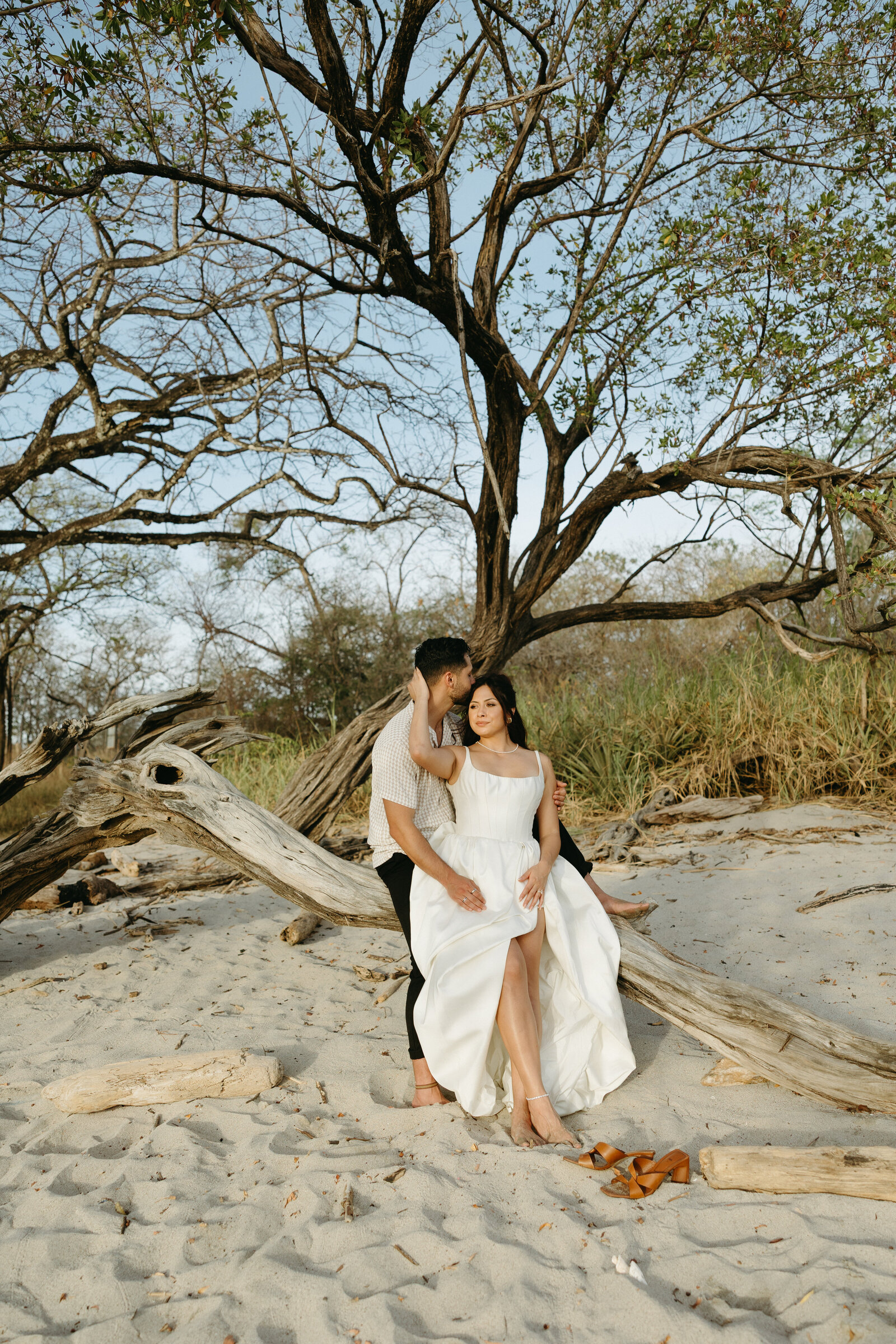 A wedding portrait of a couple under a tree on a beach in Costa Rica.
