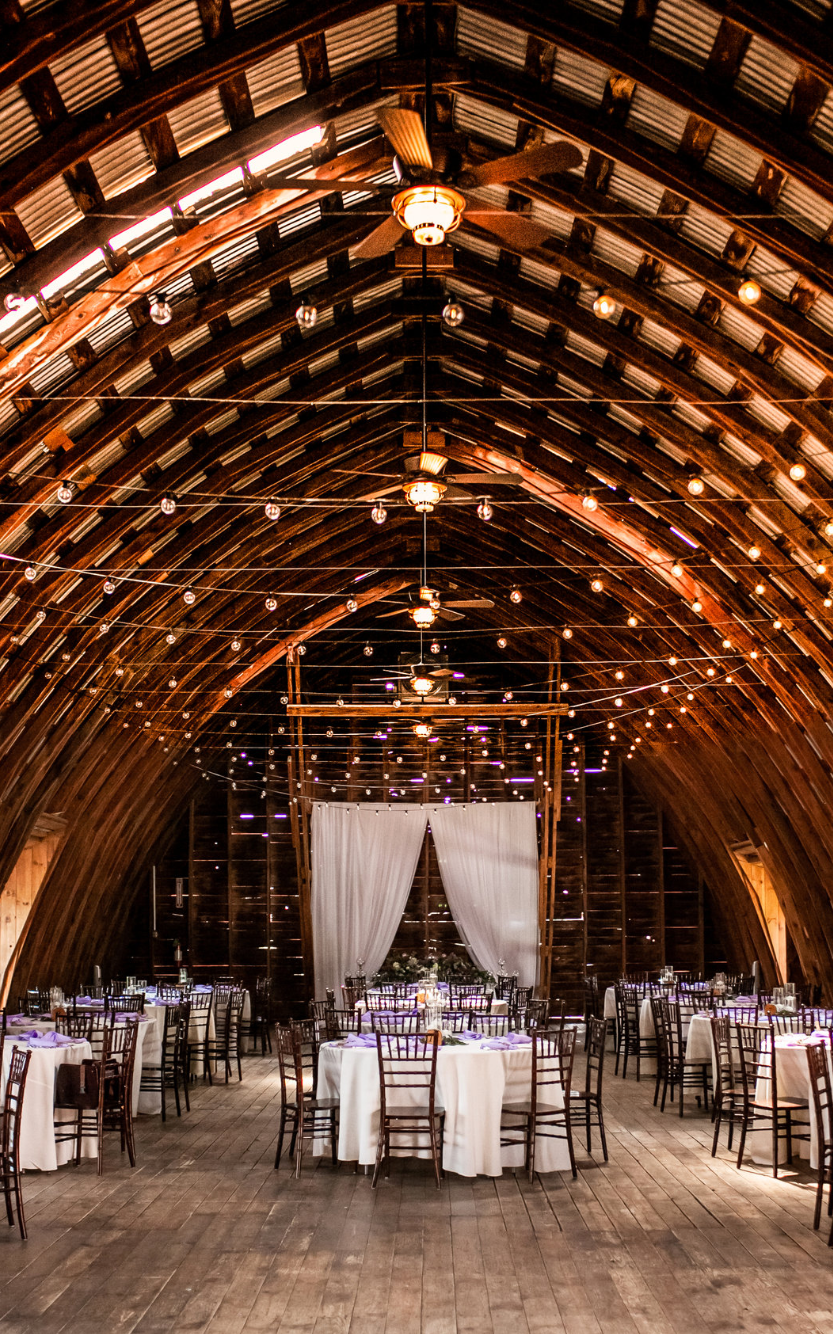 syracuse-wedding-photographer-pam-stern