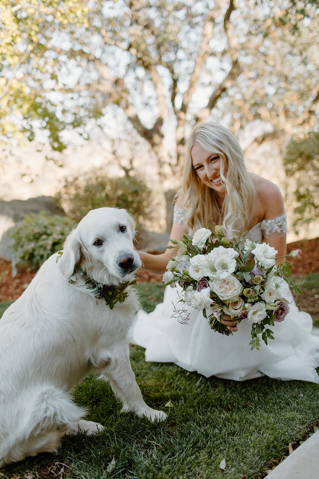 Bride with her dog before ceremony