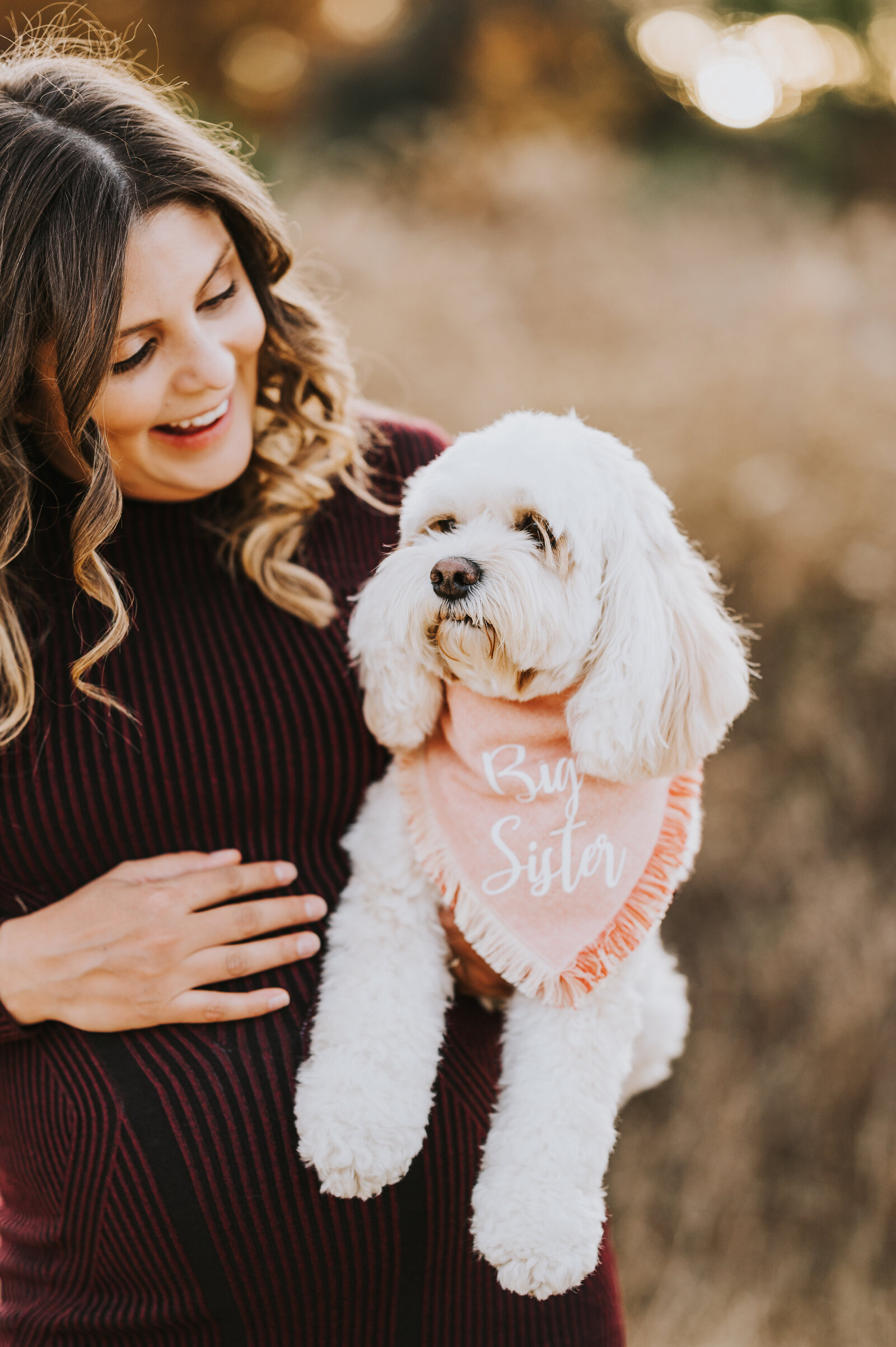 Pregnant woman poses with white dog during maternity session in Raleigh NC