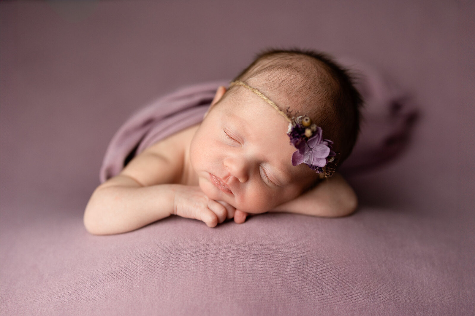 Purple Posed Newborn Photo