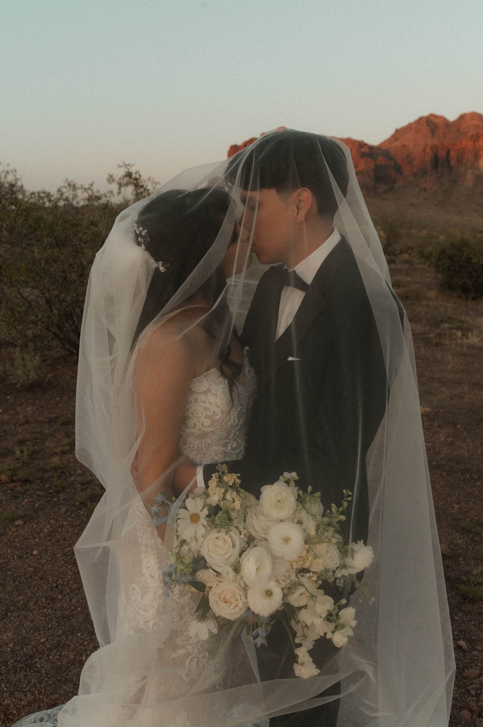 TheCarmonasWeddingAZ-1054