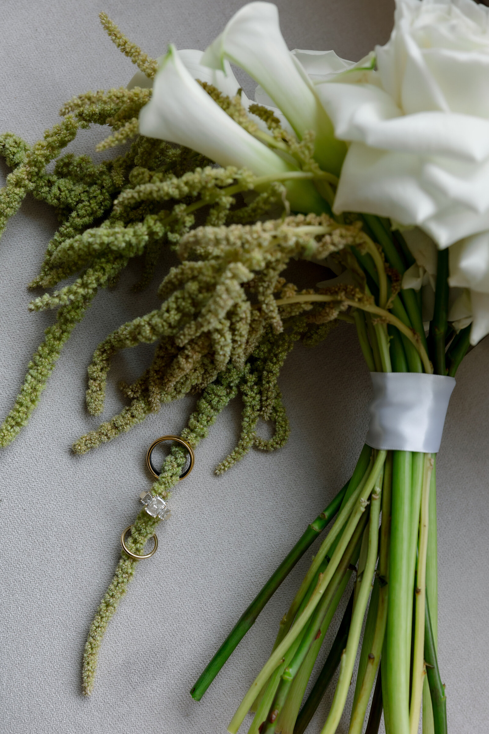 Alex-McCrary-Photography-Max-Kate-Klein-Family-Cedar-Falls-Iowa-19