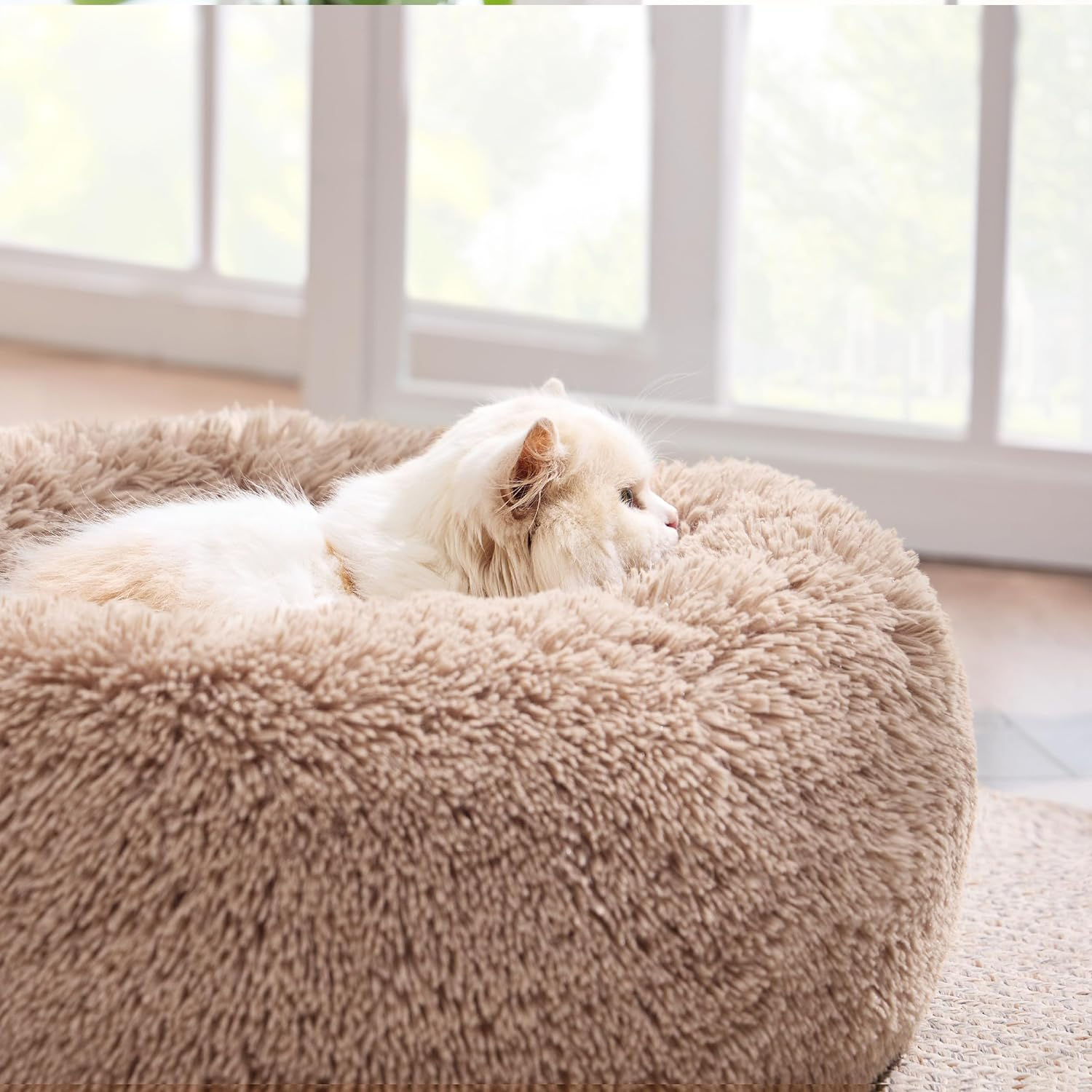 Calming Cat Beds