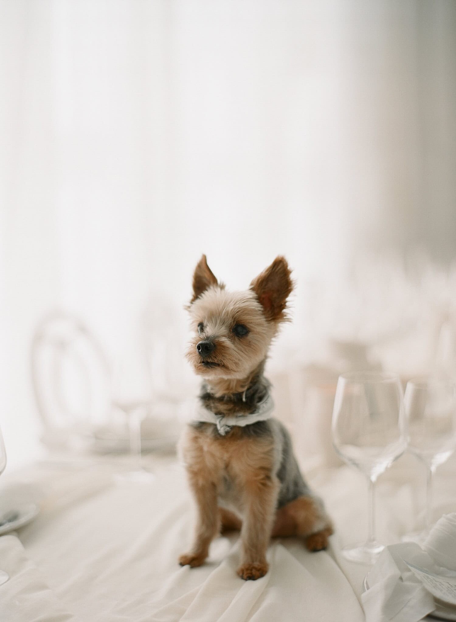 AUSTIN-MODERN-MONOCHROMATIC-INDIAN-WEDDING-00079