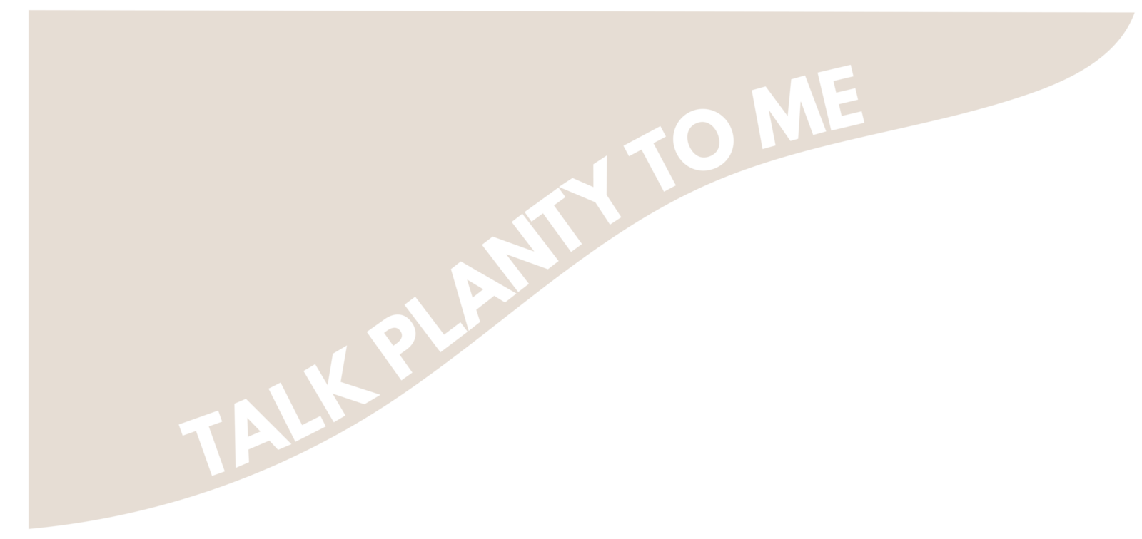 LIVE LONG AND PLANT_IMAGE-TALK PLANTY TO ME BLOG-09