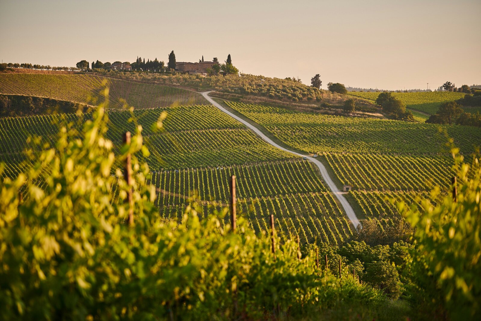 Tuscan Sunset in an Italian Vineyard - Kelsey Parry Travel